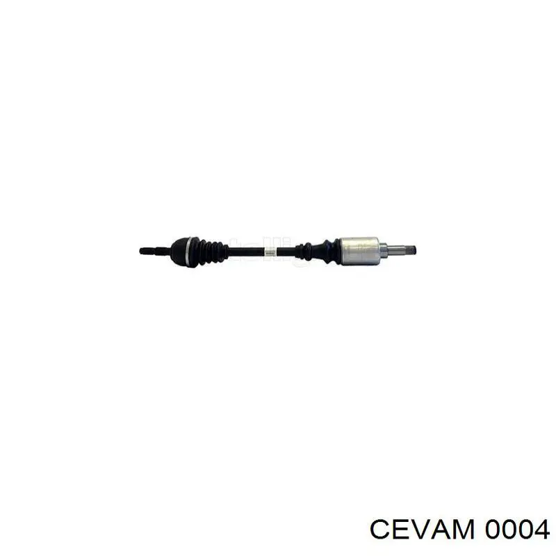 Esfera de la suspensión delantera 0004 Cevam