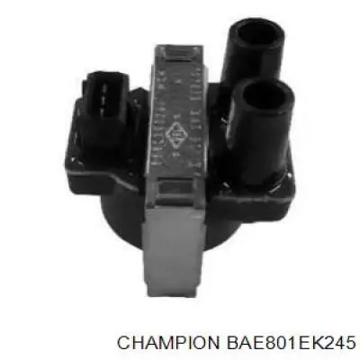 BAE801EK245 Champion bobina