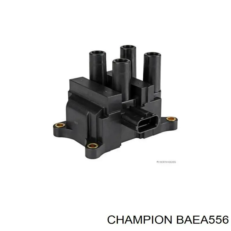 BAEA556 Champion bobina