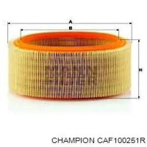 W251 Champion filtro de aire