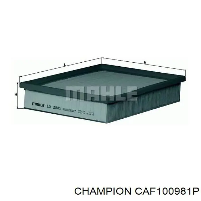 CAF100981P Champion filtro de aire