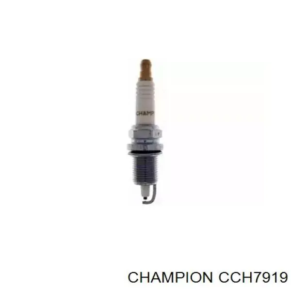 CCH7919 Champion