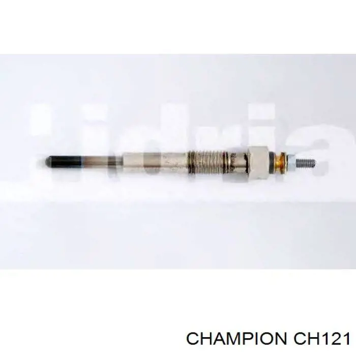 CH121 Champion