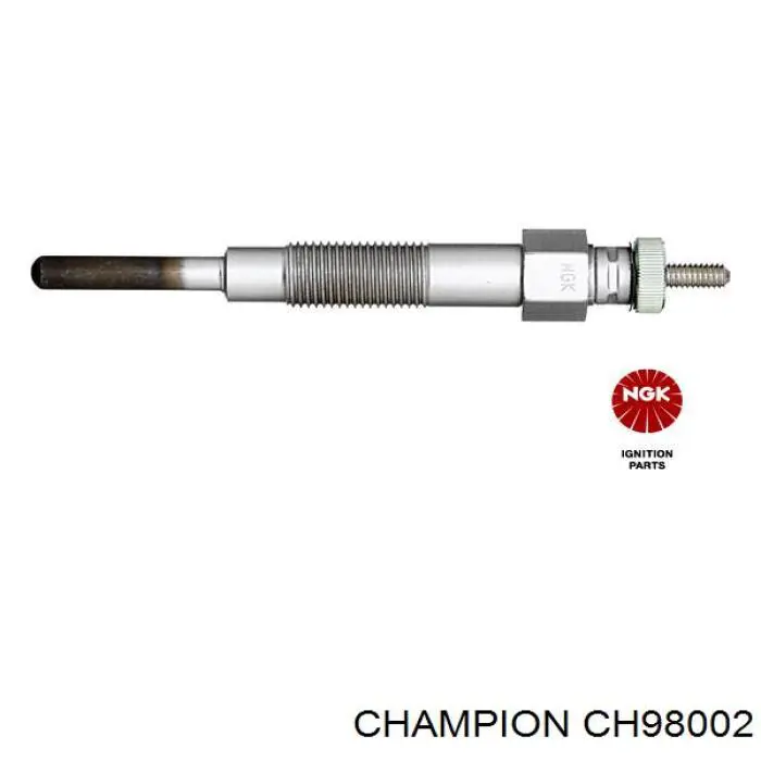 Bujías de calentamiento Nissan Cherry N12