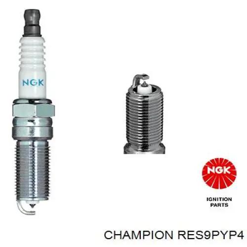 RES9PYP4 Champion