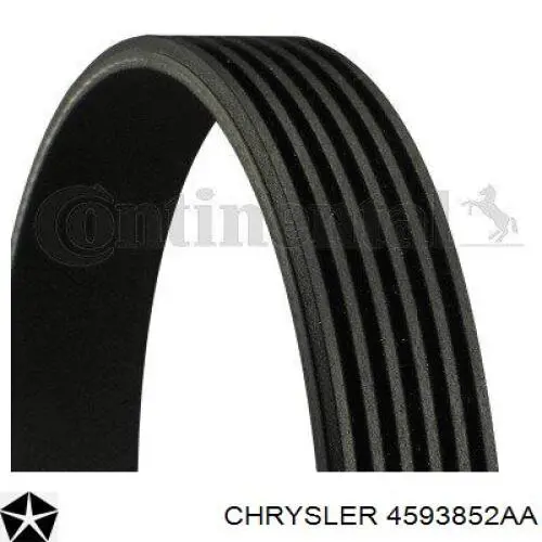 4593665AB Chrysler correa trapezoidal