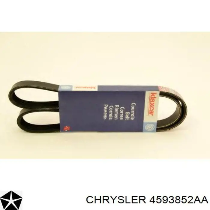 4593852AA Chrysler Correa poly v