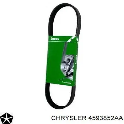 Correa de alternador 4593852AA Chrysler