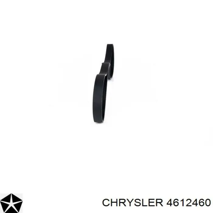 4612460 Chrysler correa trapezoidal