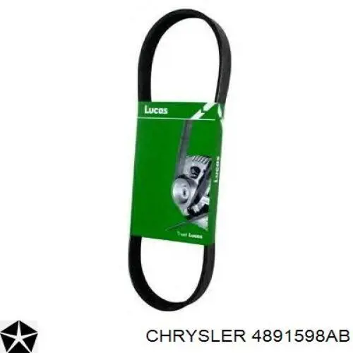 Comprar 04891598AB Chrysler Correa trapezoidal