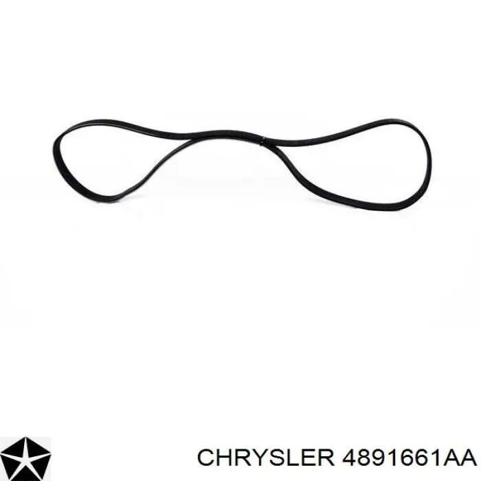 4891661AA Chrysler correa trapezoidal