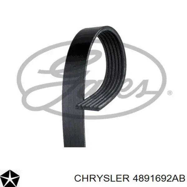 4891692AB Chrysler correa trapezoidal