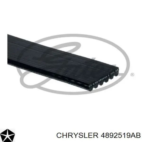 4892519AB Chrysler correa trapezoidal