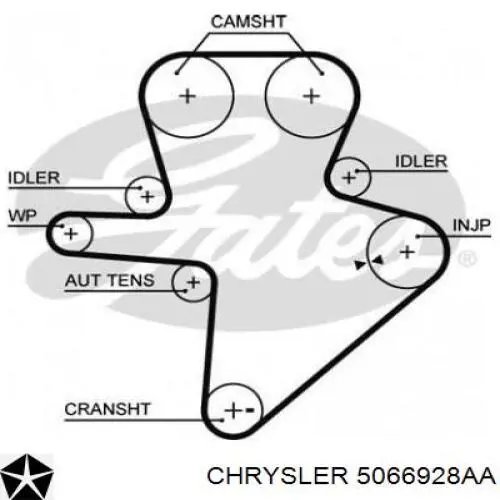 Correa distribución 5066928AA Chrysler