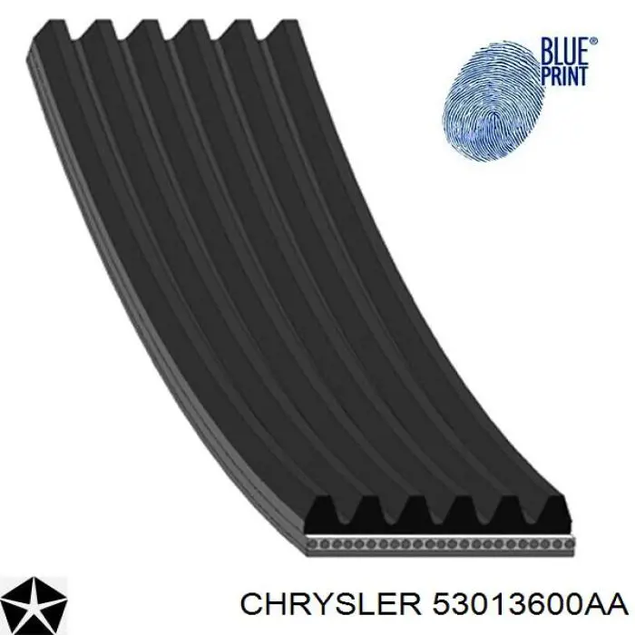 Comprar 53013600AA Chrysler Correa trapezoidal