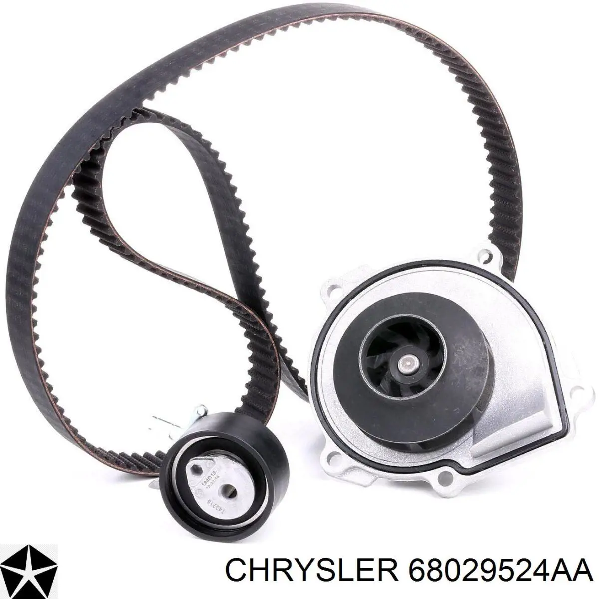 68029524AA Chrysler correa distribucion