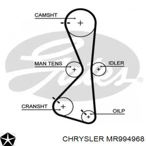MR994968 Chrysler correa distribucion