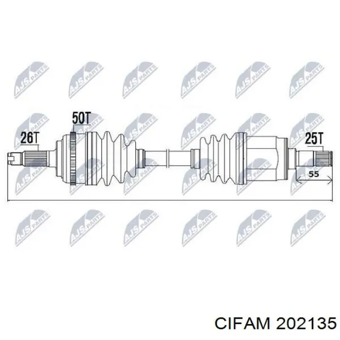 202135 Cifam