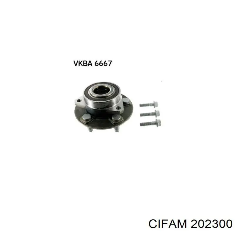 202-300 Cifam cilindro principal de freno