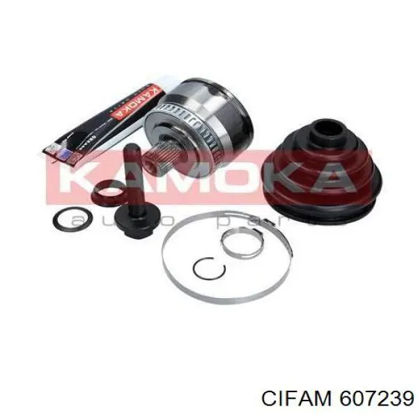 Comprar 607239 Cifam Junta homocinetica