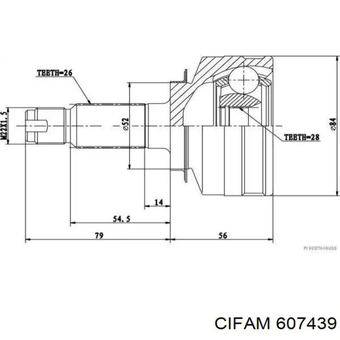 607439 Cifam junta homocinética exterior delantera