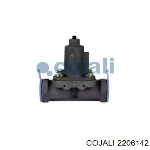 2206142 Cojali valvula de derivacion aire de carga (derivador)