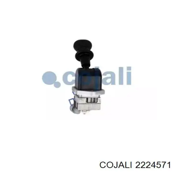 Válvula de freno de estacionamiento Renault (RVI) 7420813850 precio, desde 97,33 EUR