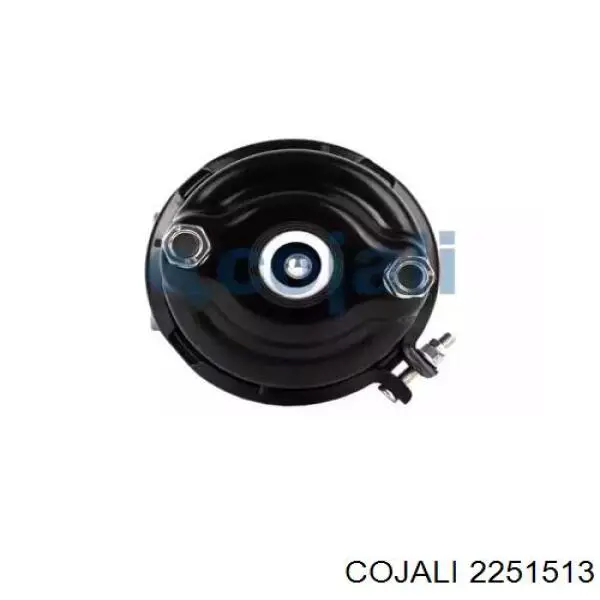 9254810120 Wabco Cámara de freno con acumulador de energía