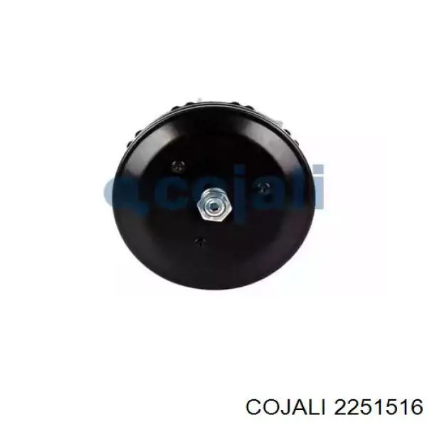 Comprar 9254840200 Wabco Cámara de freno con acumulador de energía