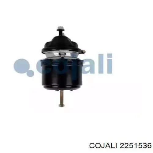 02243060X AIR Fren Cámara de freno con acumulador de energía