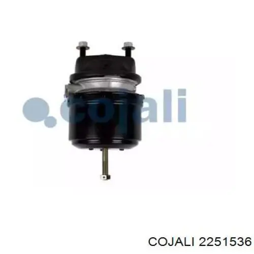 Comprar 02243060X AIR Fren Cámara de freno con acumulador de energía