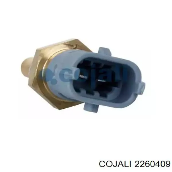 Sensor de temperatura del refrigerante Chevrolet Cruze J300