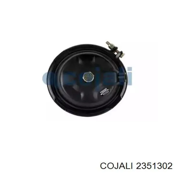 4235060010 Wabco Cámara de freno con acumulador de energía