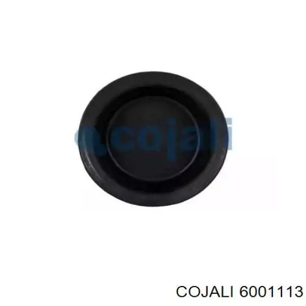 Membrana de cámara de freno Wabco 8971205254 precio, desde 5,19 EUR