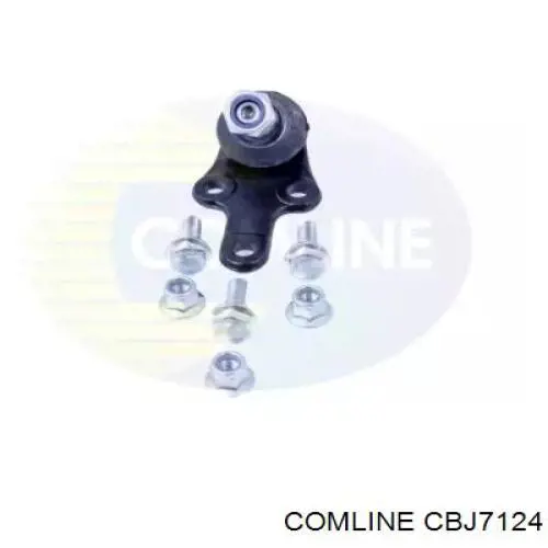 Rótula inferior de suspensión Comline CBJ7124 precio, desde 15,12 EUR