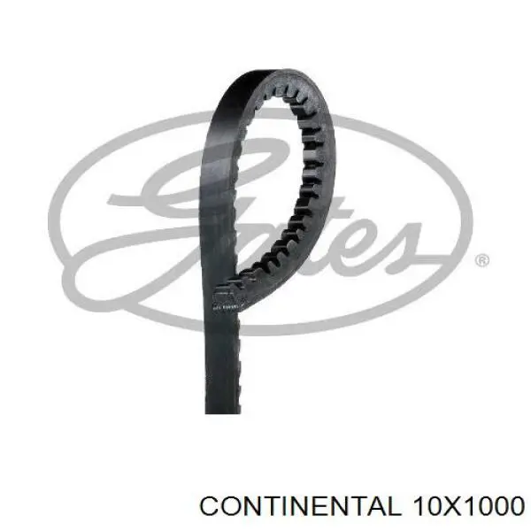 10X1000 Continental/Siemens Correa poly v
