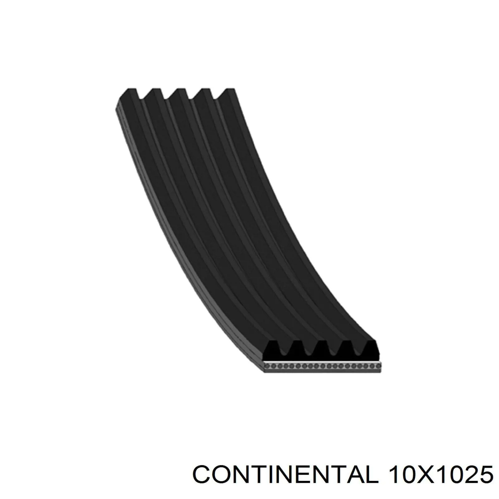 Correa de alternador 10X1025 Continental/Siemens