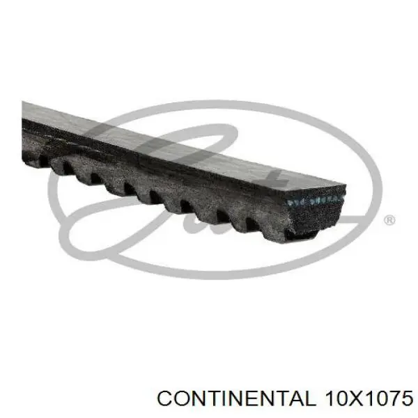 10X1075 Continental/Siemens correa trapezoidal
