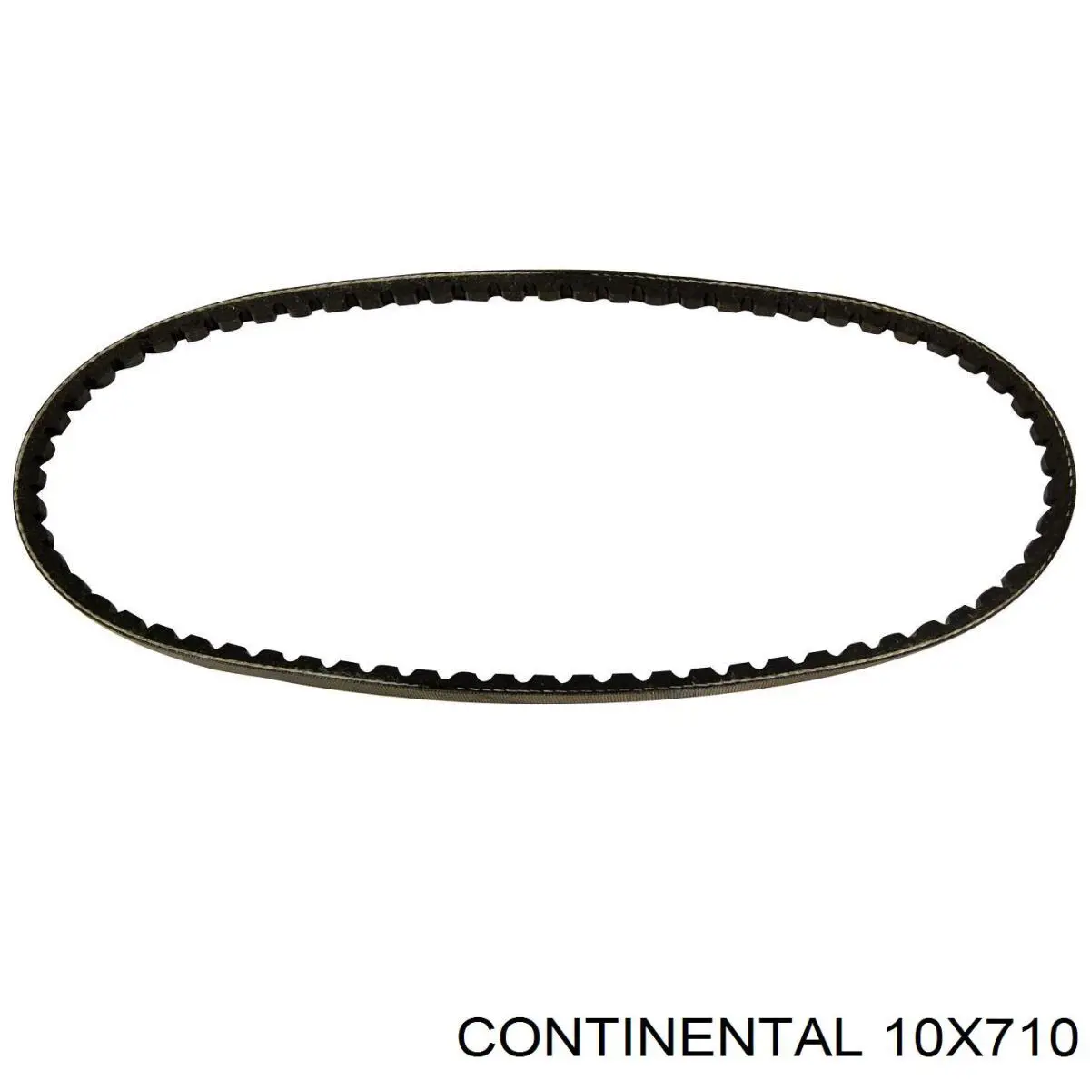 Correa de transmisión trapezoidal Continental/Siemens 10X710 precio, desde 8,23 EUR