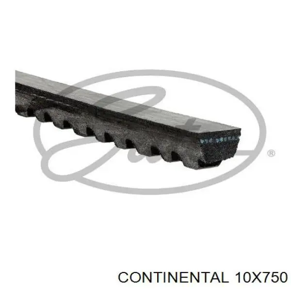 10X750 Continental/Siemens correa trapezoidal