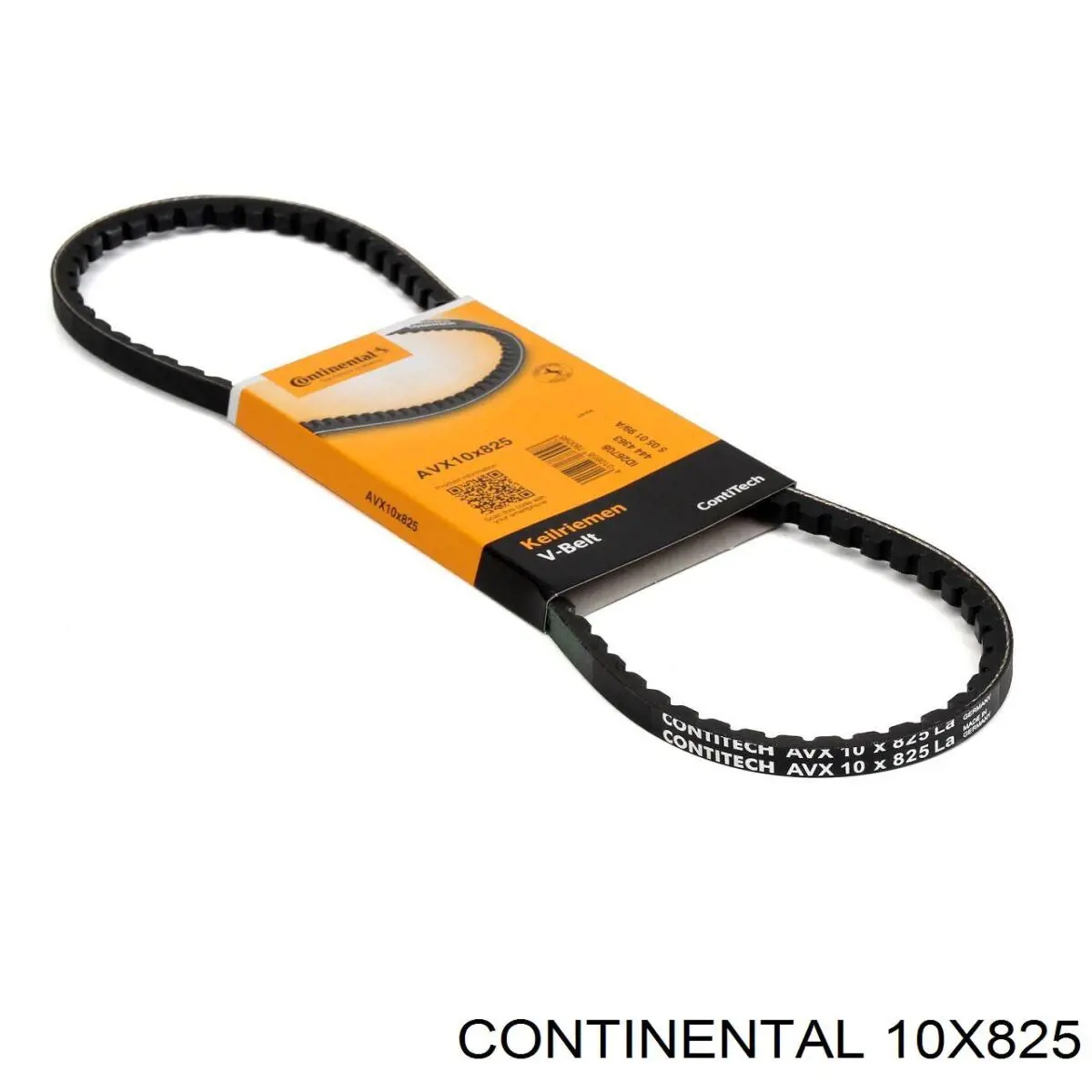 Correa de alternador 10X825 Continental/Siemens