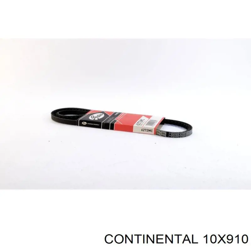 10X910 Continental/Siemens Correa poly v