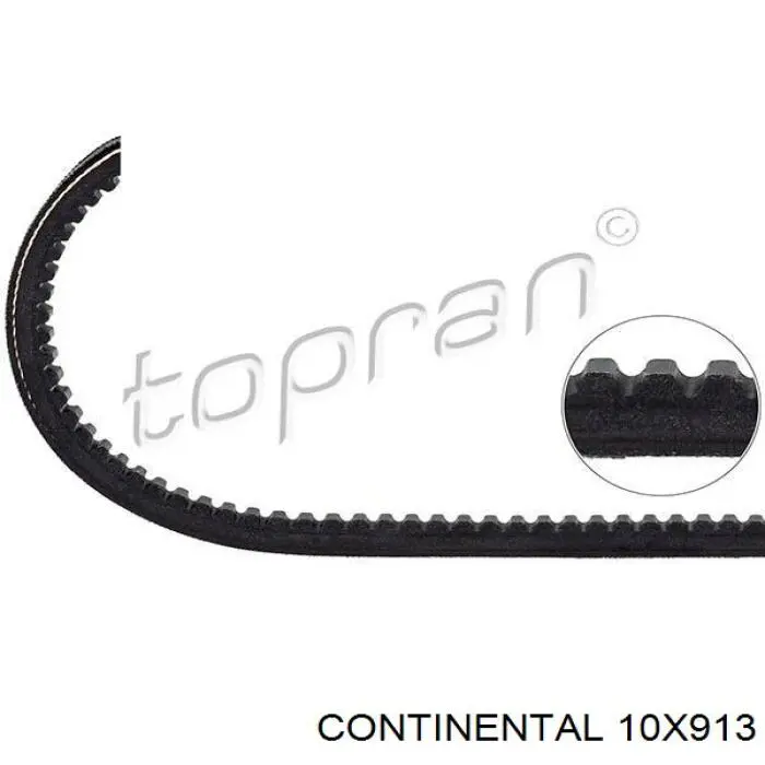 Correa de transmisión trapezoidal Continental/Siemens 10X913 precio, desde 8,64 EUR