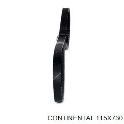 028145271K VAG Correa poly v