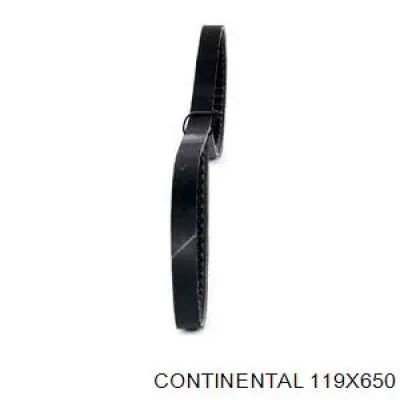 Correa de alternador 119X650 Continental/Siemens