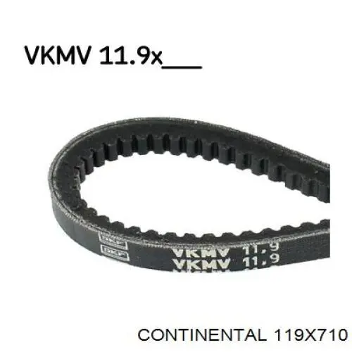 119X710 Continental/Siemens Correa poly v