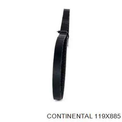 119X885 Continental/Siemens Correa poly v
