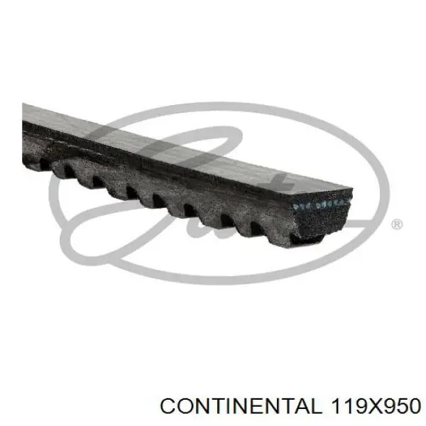 119X950 Continental/Siemens Correa poly v