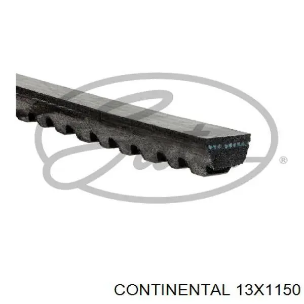Correa de alternador 13X1150 Continental/Siemens