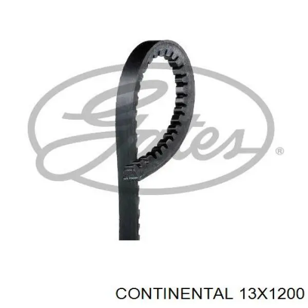 Correa de alternador 13X1200 Continental/Siemens